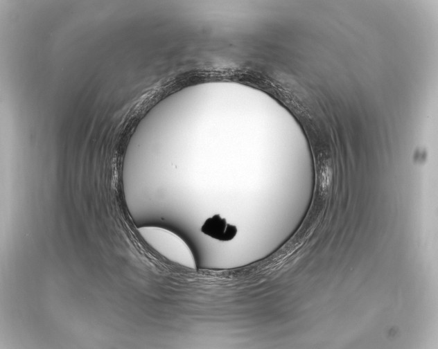 X0000094361204200711021328