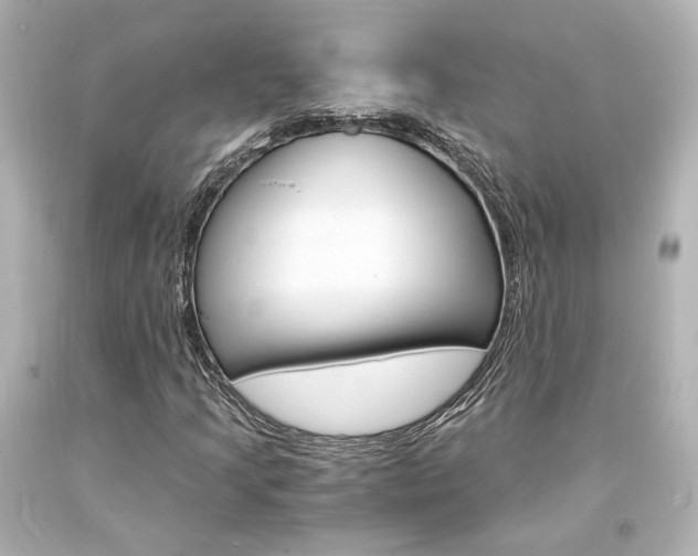 X0000094361205200711021328