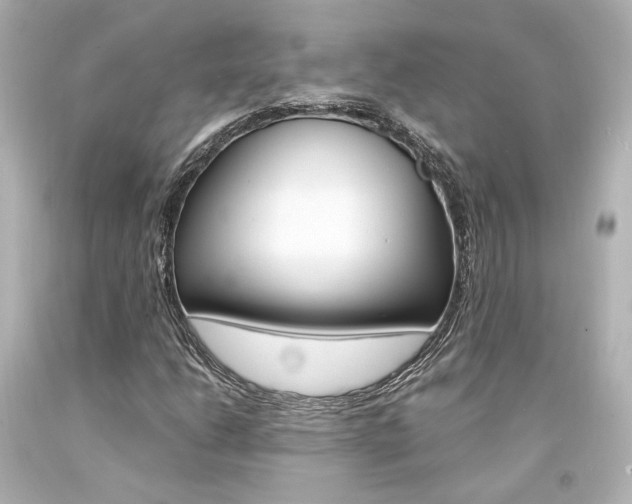X0000094361206200711021328