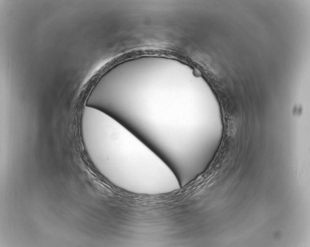 X0000094361208200711021328