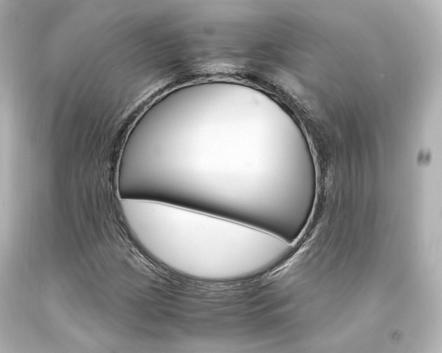 X0000094361209200711021328