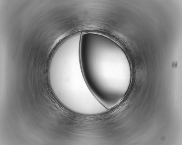 X0000094361210200711021328