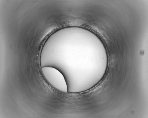 X0000094361211200711021328