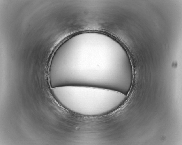 X0000094361212200711021328