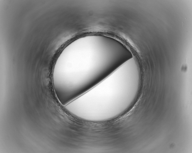 X0000094361213200711021328