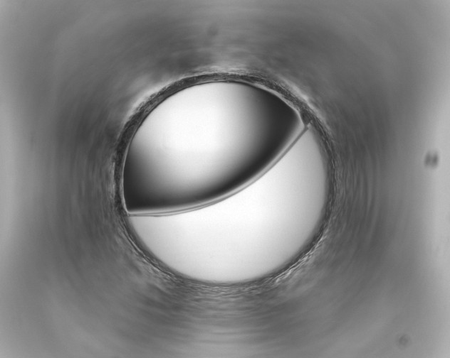 X0000094361214200711021328