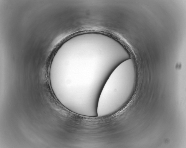 X0000094361215200711021328