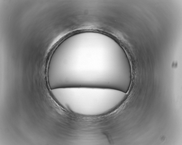 X0000094361216200711021328