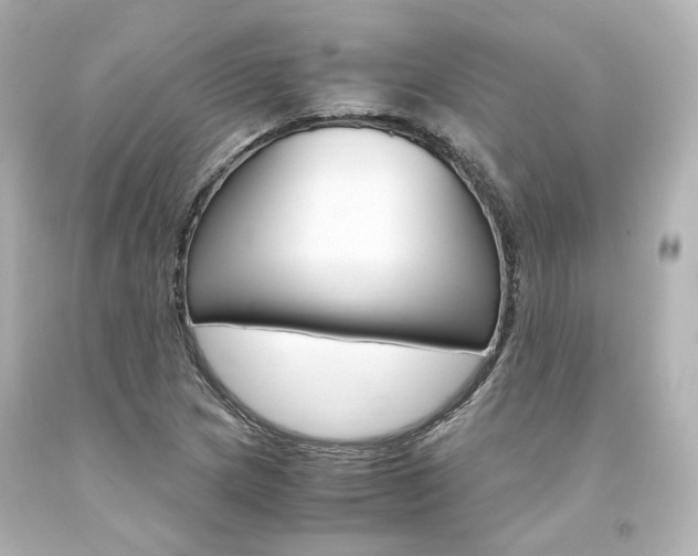 X0000094361217200711021328