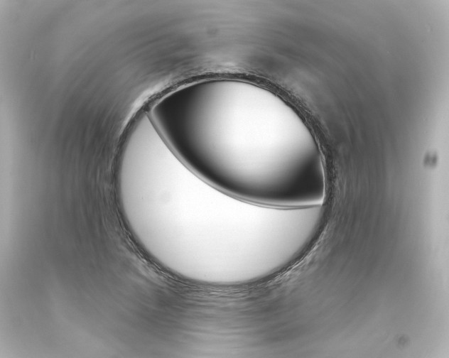 X0000094361218200711021328