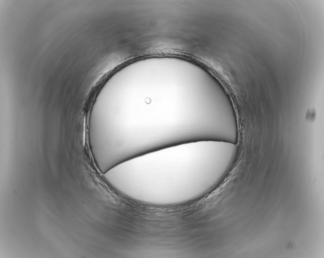 X0000094361219200711021328