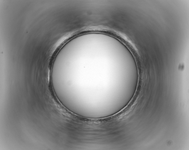 X0000094361221200711021328