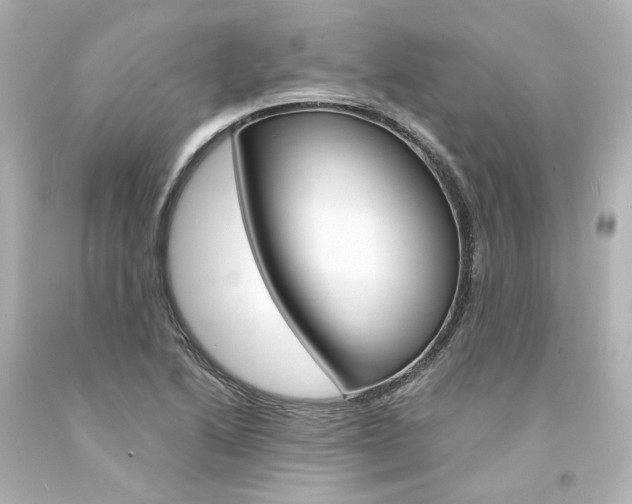 X0000094361222200711021328