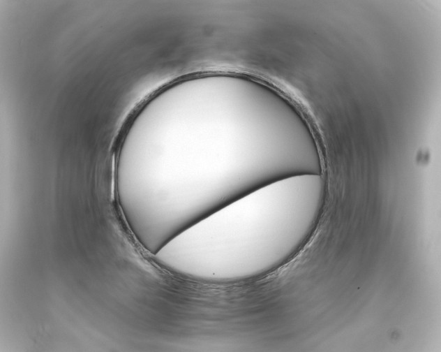 X0000094361223200711021328