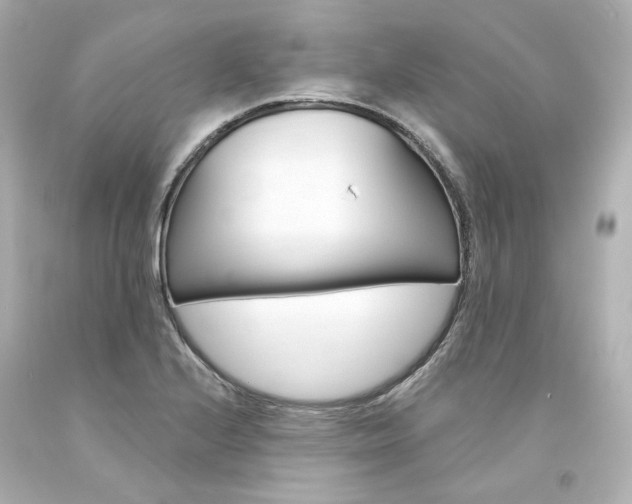 X0000094361224200711021328