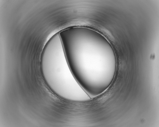 X0000094361226200711021328