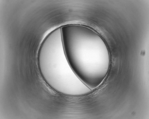 X0000094361230200711021328