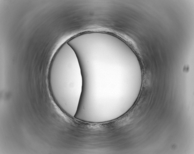 X0000094361231200711021328