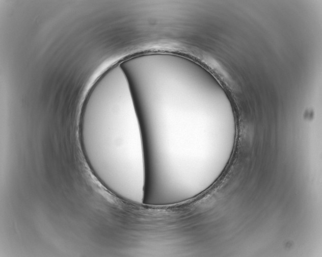 X0000094361232200711021328
