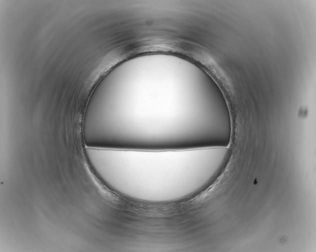 X0000094361233200711021328