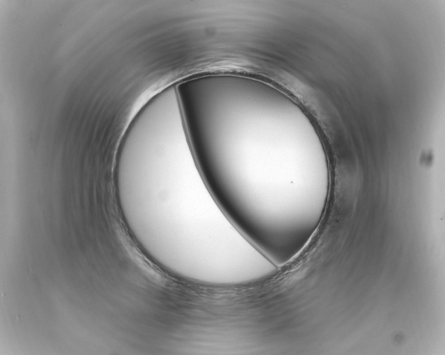 X0000094361234200711021328