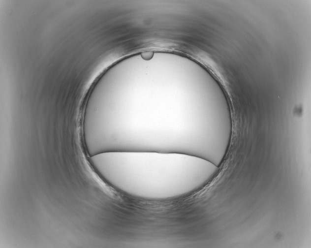 X0000094361235200711021328