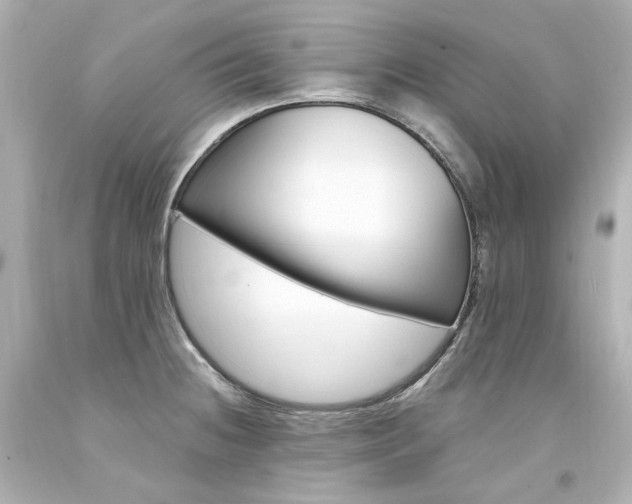 X0000094361236200711021328