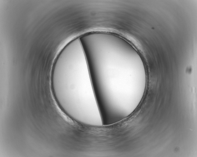 X0000094361237200711021328