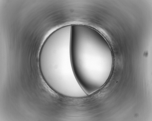 X0000094361238200711021328