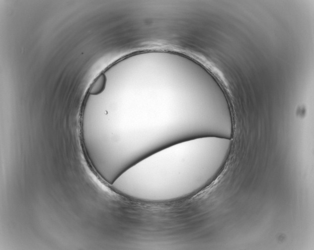 X0000094361239200711021328
