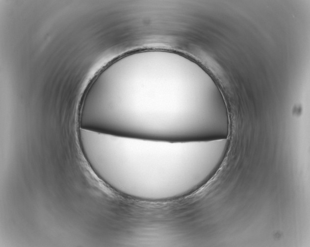 X0000094361240200711021328