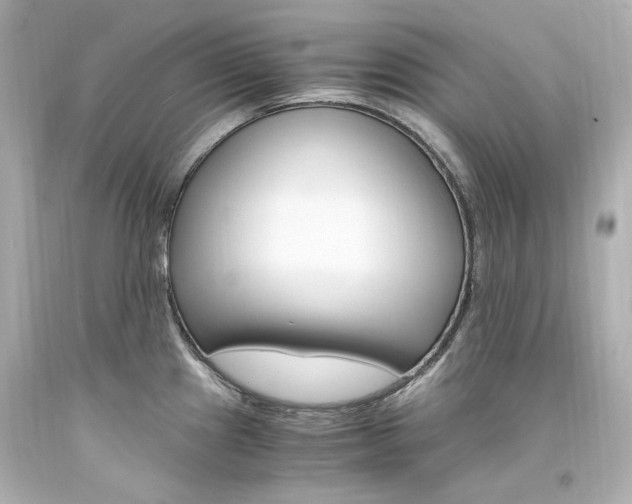 X0000094361241200711021328