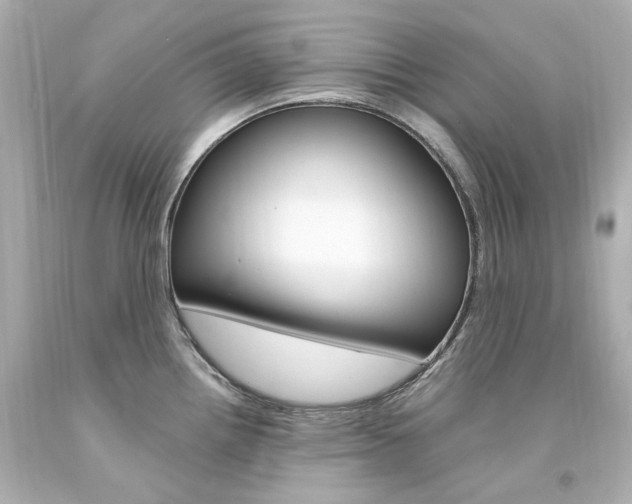 X0000094361242200711021328