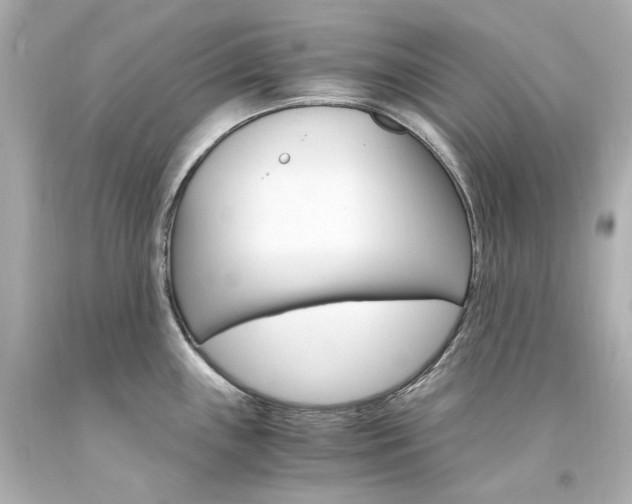 X0000094361243200711021328