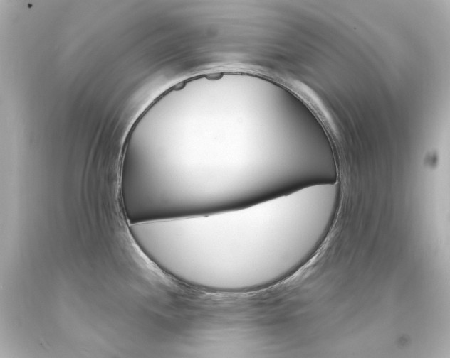 X0000094361244200711021328