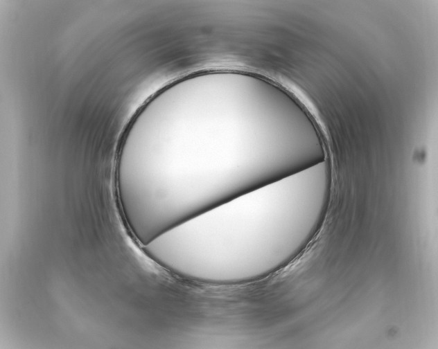 X0000094361245200711021328