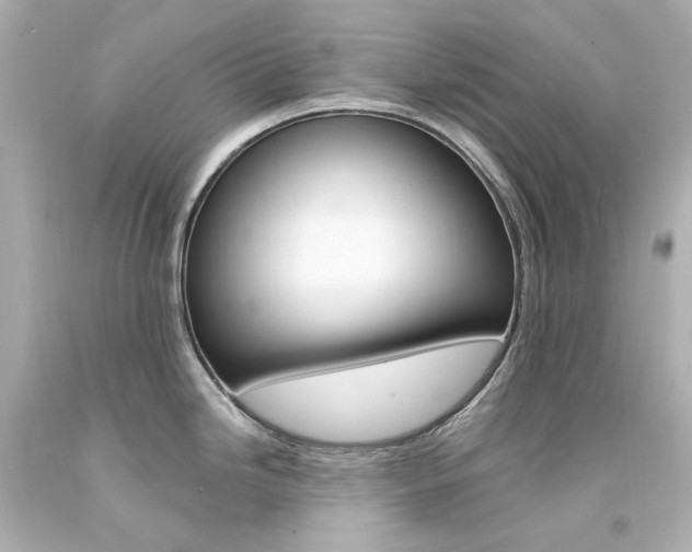 X0000094361246200711021329