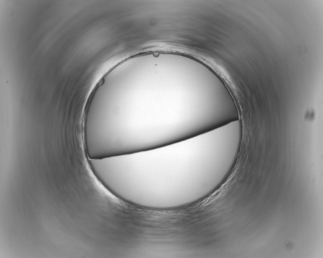 X0000094361247200711021329