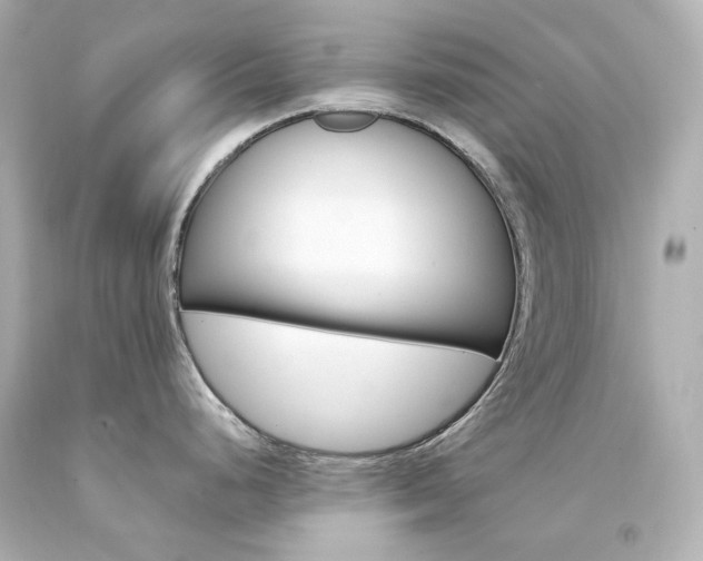 X0000094361248200711021329
