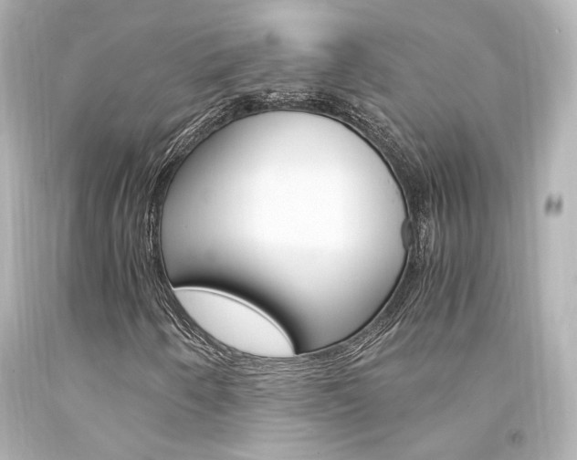 X0000094361250200711021328