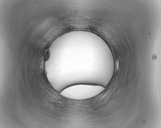 X0000094361251200711021328