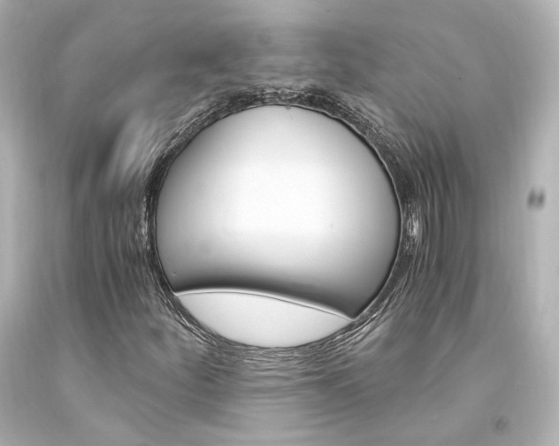 X0000094361252200711021328