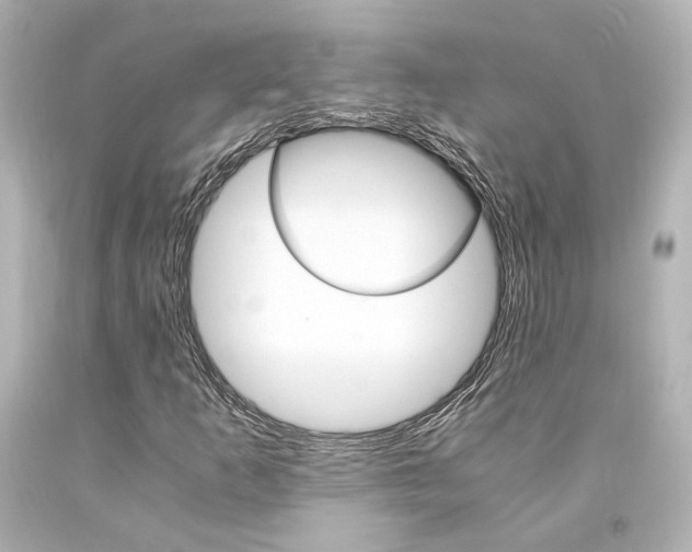 X0000094361253200711021328