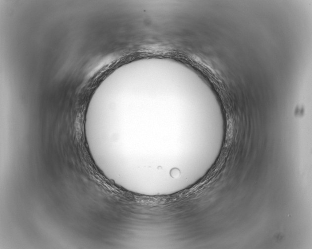 X0000094361254200711021328