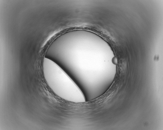 X0000094361256200711021328