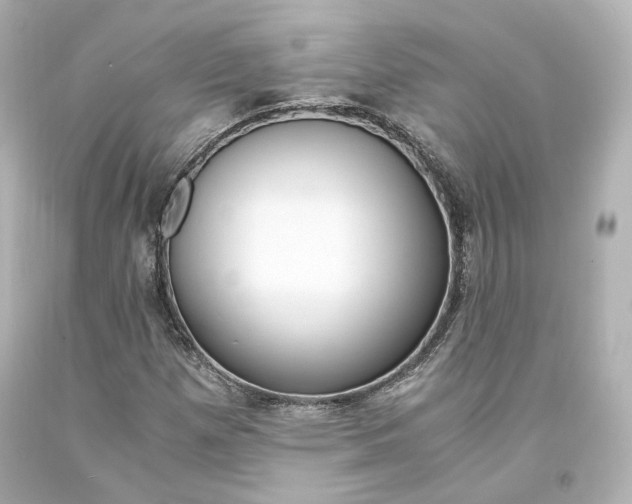 X0000094361257200711021328