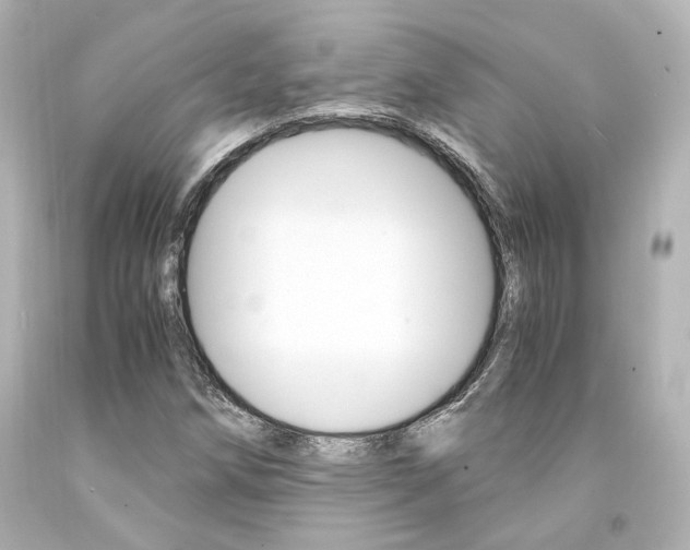 X0000094361258200711021328