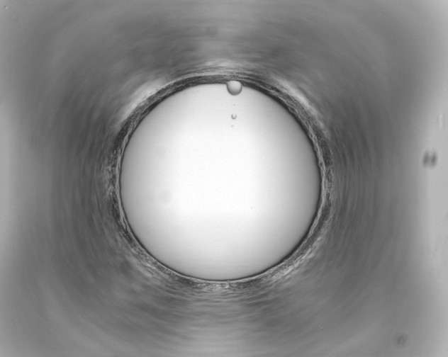 X0000094361259200711021328