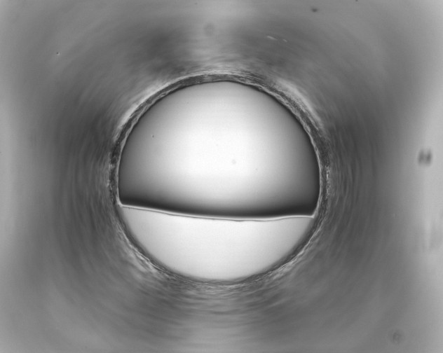 X0000094361260200711021328