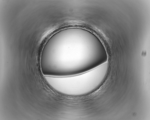 X0000094361261200711021328